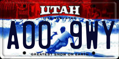 UT license plate A009WY