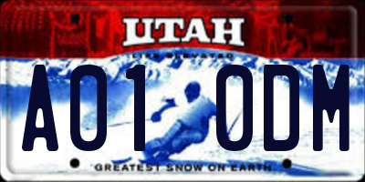 UT license plate A010DM