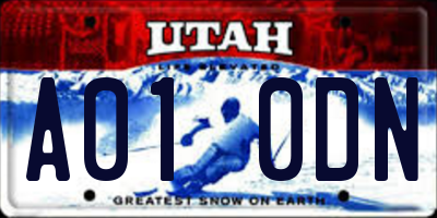 UT license plate A010DN