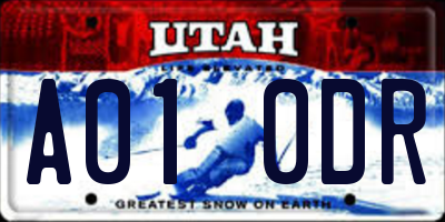 UT license plate A010DR