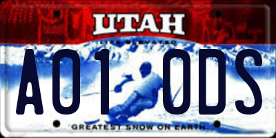 UT license plate A010DS
