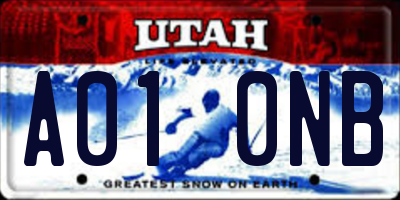 UT license plate A010NB