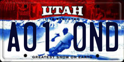 UT license plate A010ND