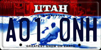 UT license plate A010NH