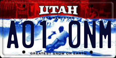 UT license plate A010NM