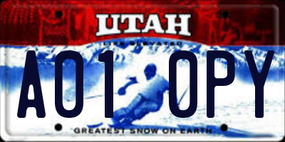 UT license plate A010PY