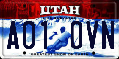 UT license plate A010VN