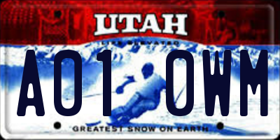 UT license plate A010WM