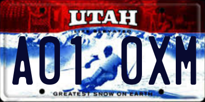 UT license plate A010XM