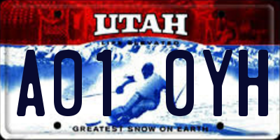 UT license plate A010YH