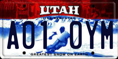 UT license plate A010YM