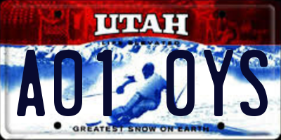 UT license plate A010YS