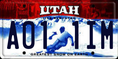 UT license plate A011IM