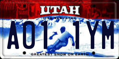 UT license plate A011YM