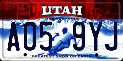UT license plate A059YJ