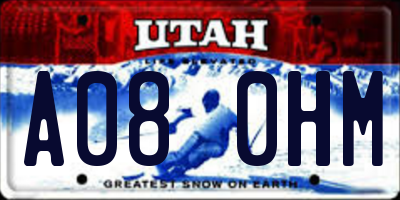 UT license plate A080HM