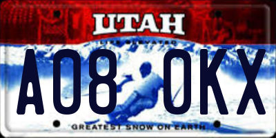 UT license plate A080KX