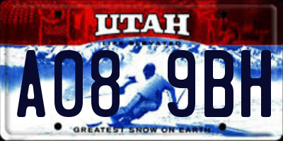 UT license plate A089BH