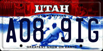 UT license plate A089IG