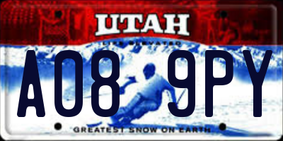 UT license plate A089PY