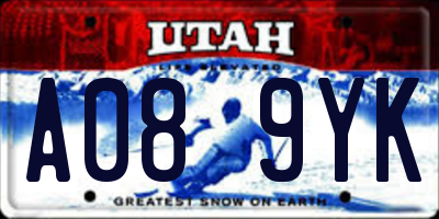 UT license plate A089YK