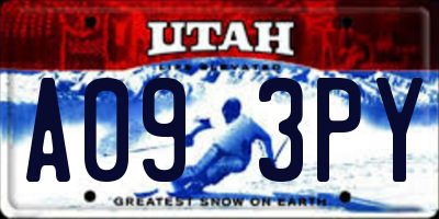 UT license plate A093PY