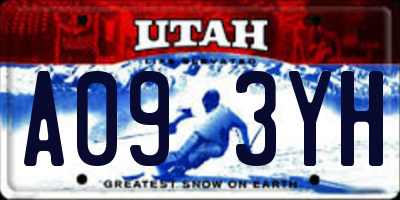 UT license plate A093YH