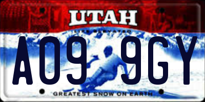 UT license plate A099GY