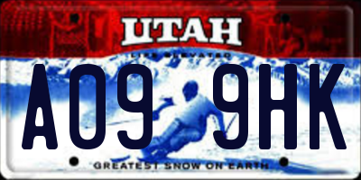 UT license plate A099HK