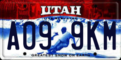 UT license plate A099KM