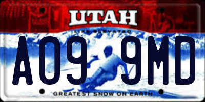 UT license plate A099MD