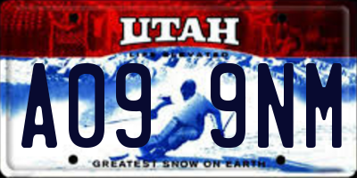 UT license plate A099NM