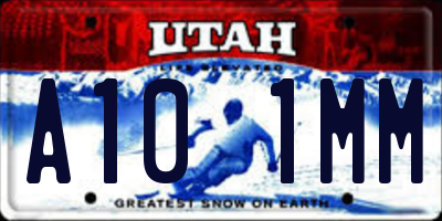 UT license plate A101MM