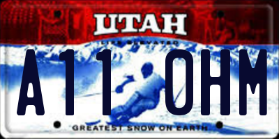UT license plate A110HM