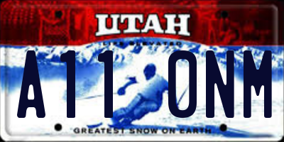 UT license plate A110NM