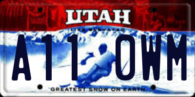 UT license plate A110WM