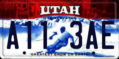 UT license plate A113AE