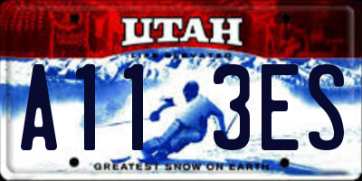 UT license plate A113ES