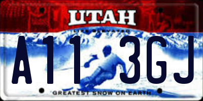 UT license plate A113GJ