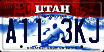 UT license plate A113KJ