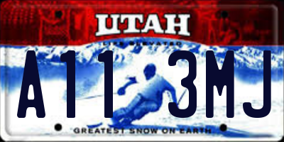 UT license plate A113MJ