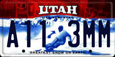 UT license plate A113MM