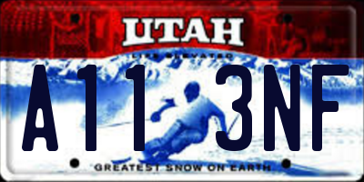 UT license plate A113NF