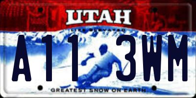 UT license plate A113WM