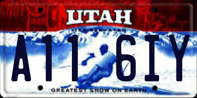 UT license plate A116IY