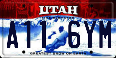 UT license plate A116YM