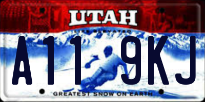 UT license plate A119KJ