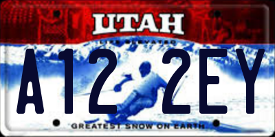 UT license plate A122EY