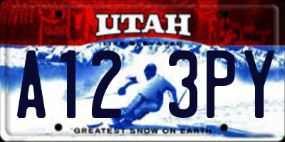 UT license plate A123PY