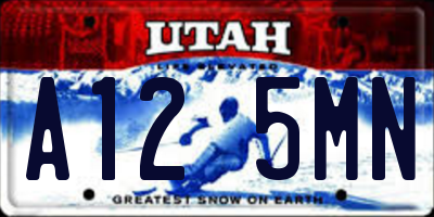 UT license plate A125MN